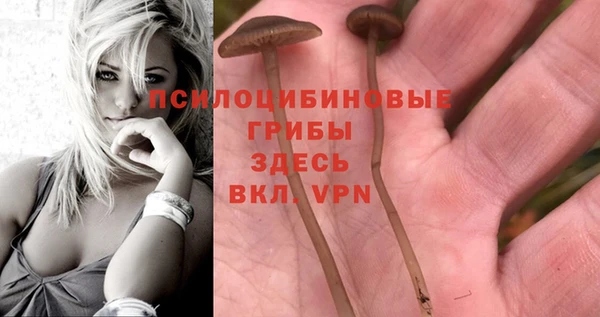 МДМА Няндома